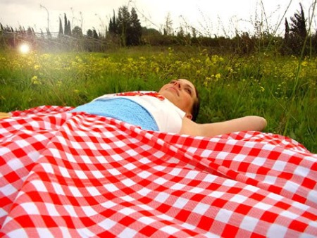 picnic-dress